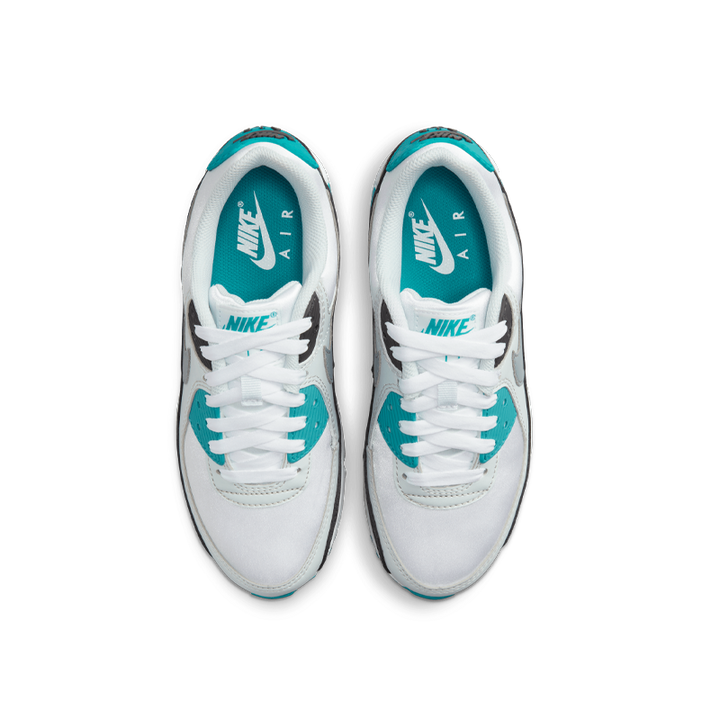 Air Max 90 (W)