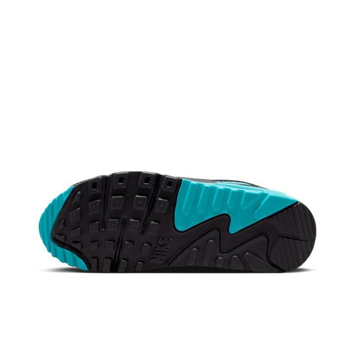 Air Max 90 (W)